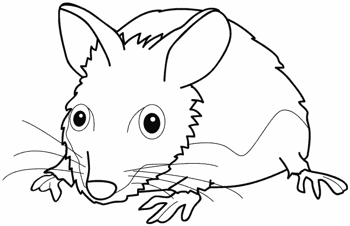 Ratón #9063