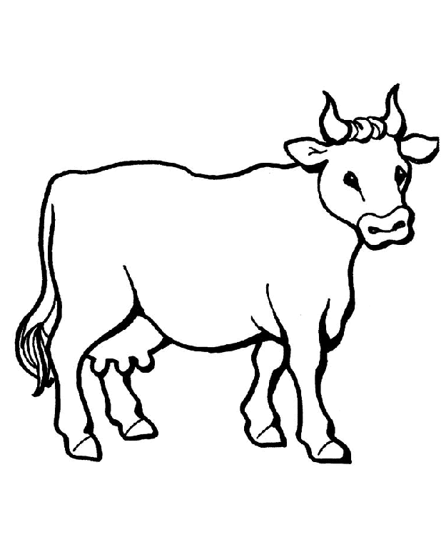 Vaca #9075