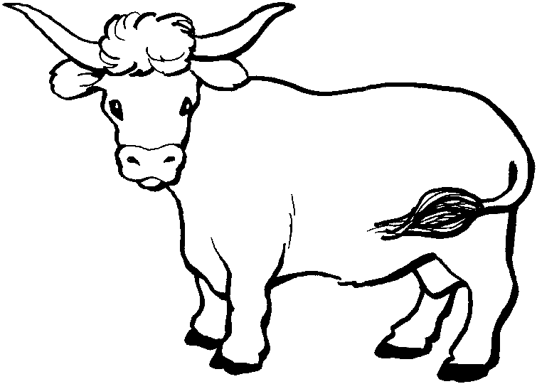 Vaca #9076