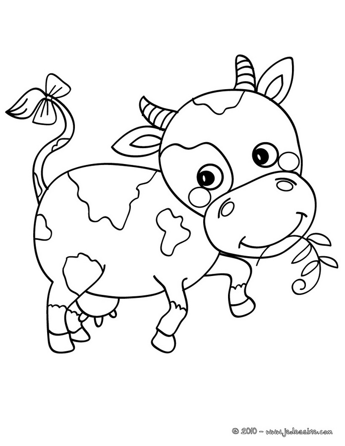 Vaca #9079