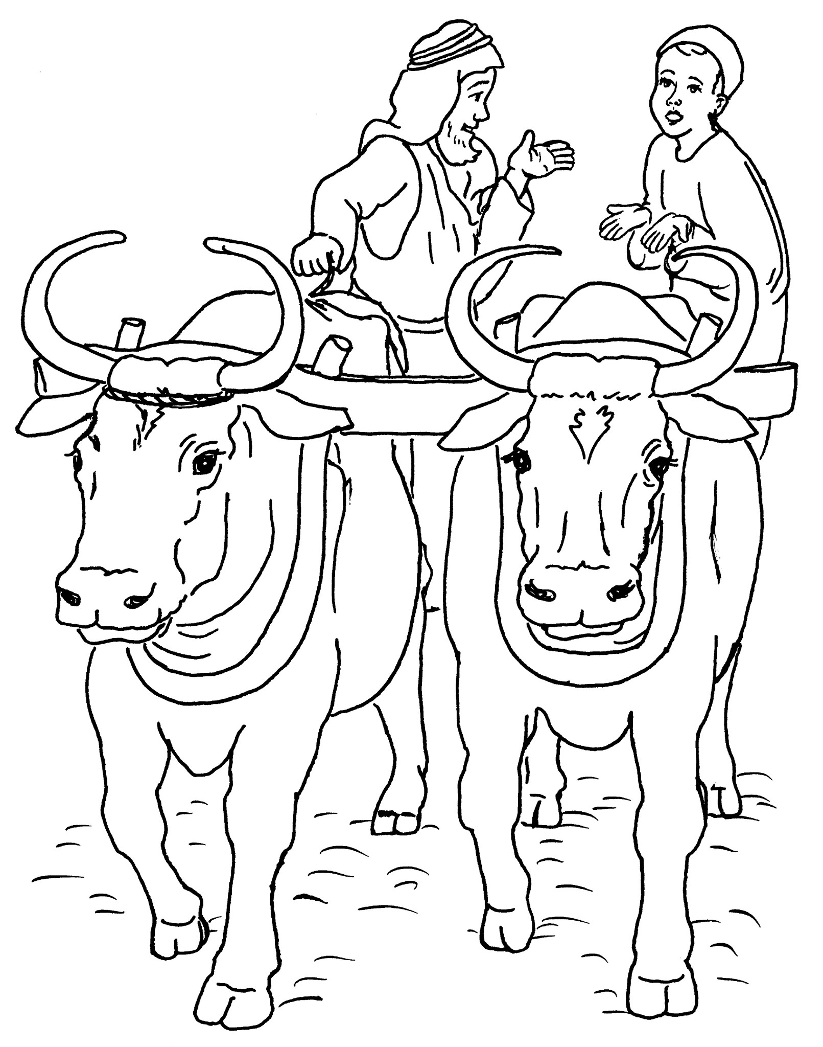 Vaca #9083