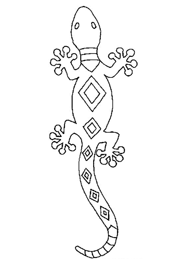 Salamandra #9089