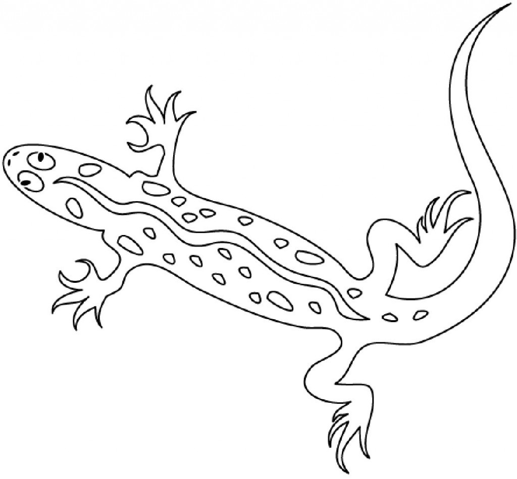 Salamandra #9091