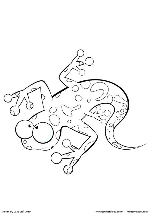 Salamandra #9099