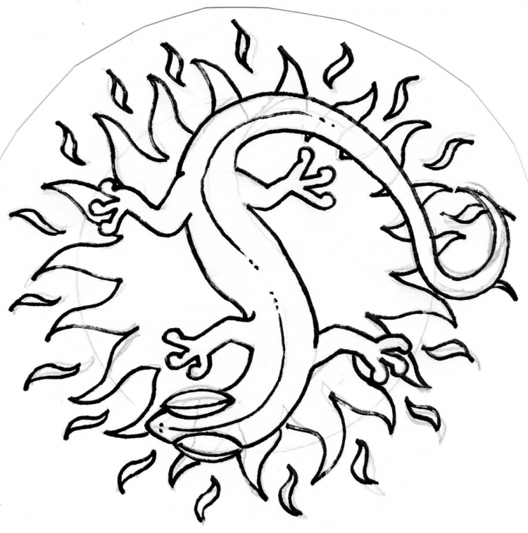 Salamandra #9104