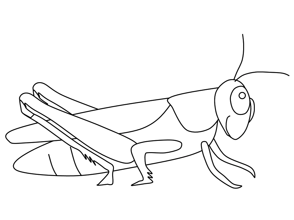 Saltamontes #9112
