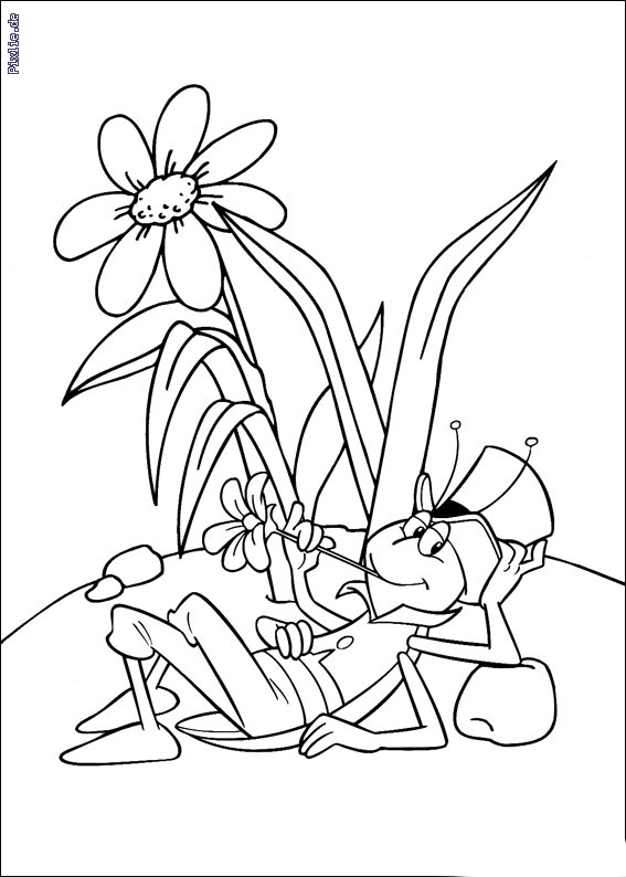 Saltamontes #9135