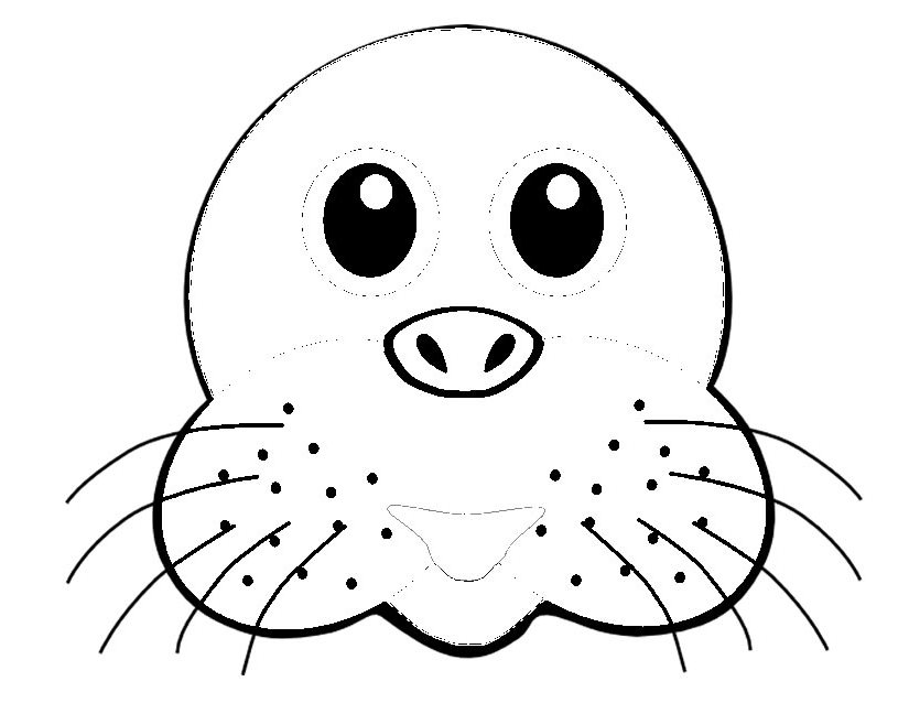 Foca #9146