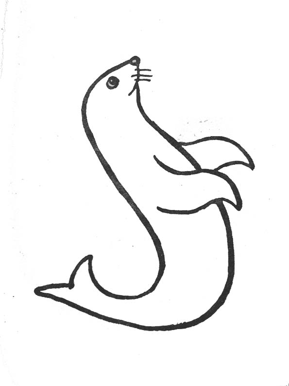 Foca #9149