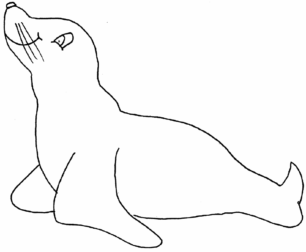 Foca #9158