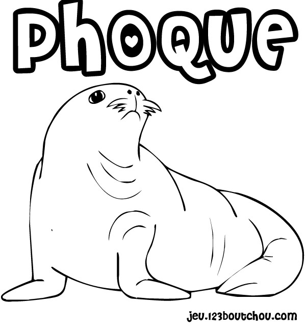 Foca #9159