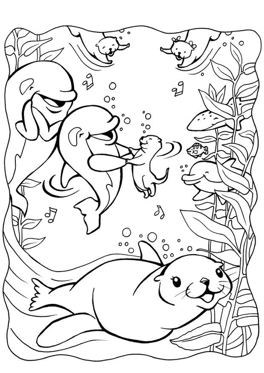 Foca #9160