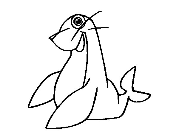 Foca #9171