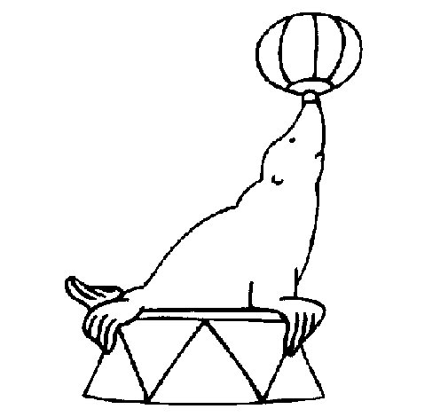 Foca #9199