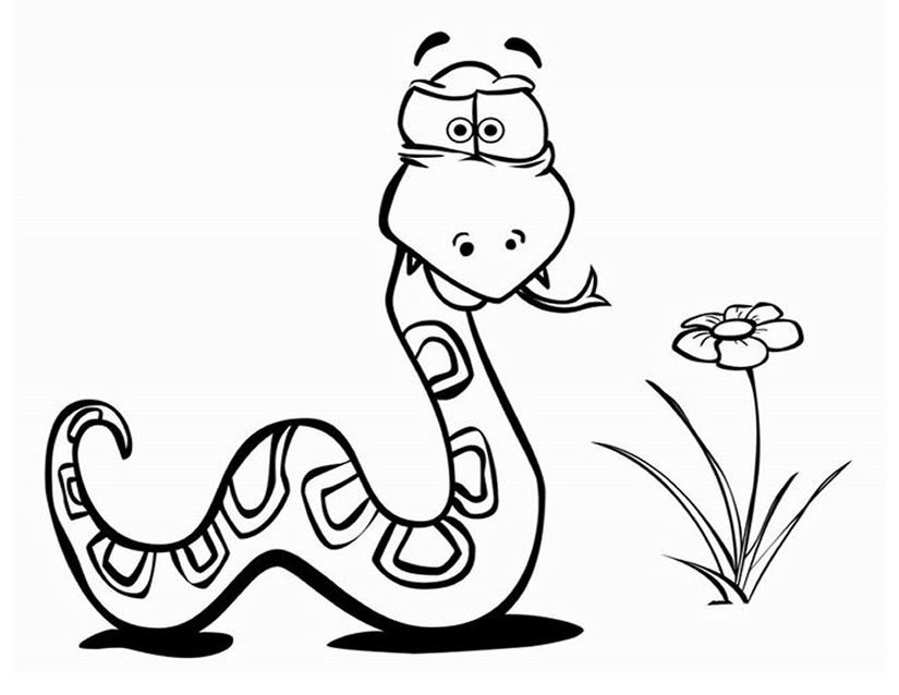 Serpiente #9203