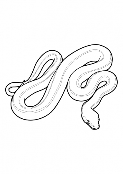 Serpiente #9205