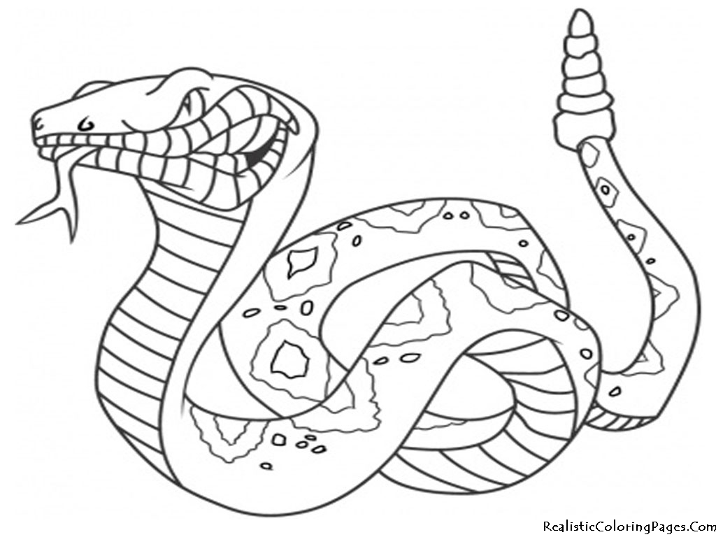 Serpiente #9208