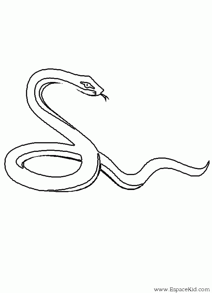 Serpiente #9209