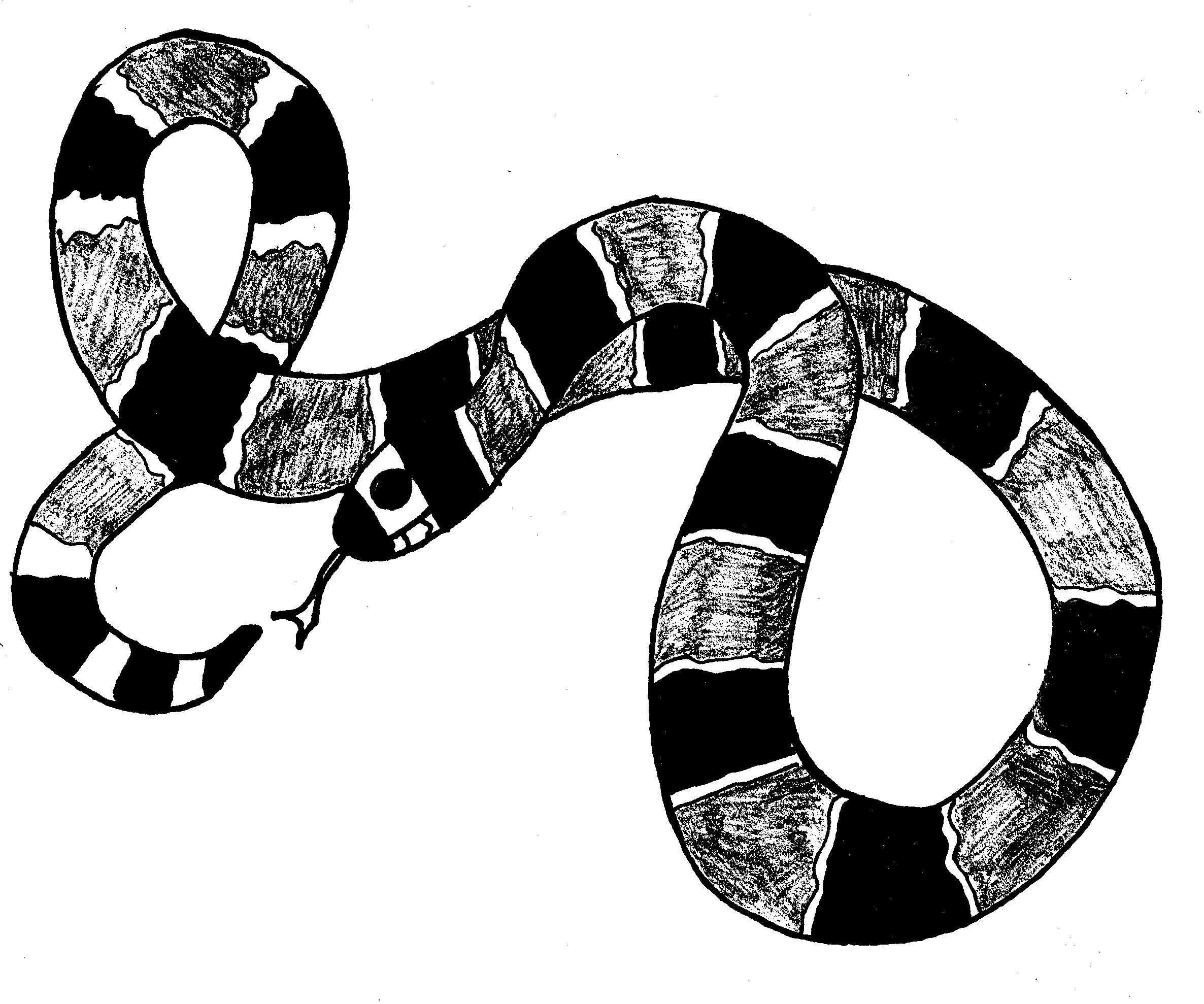 Serpiente #9224