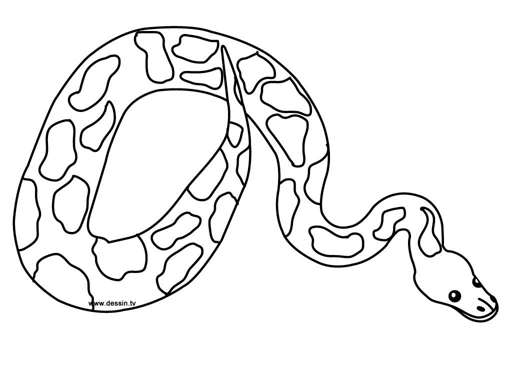 Serpiente #9229