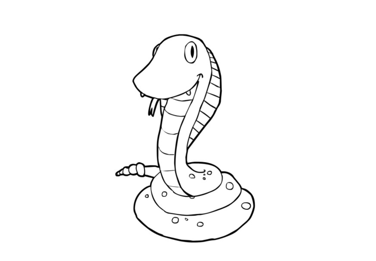 Serpiente #9237