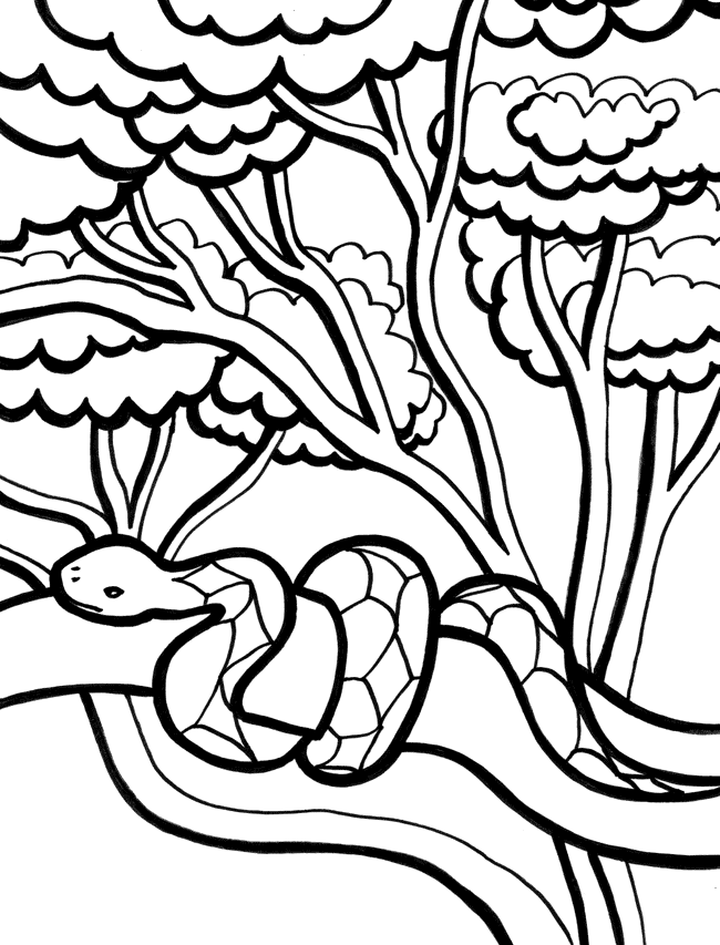 Serpiente #9243