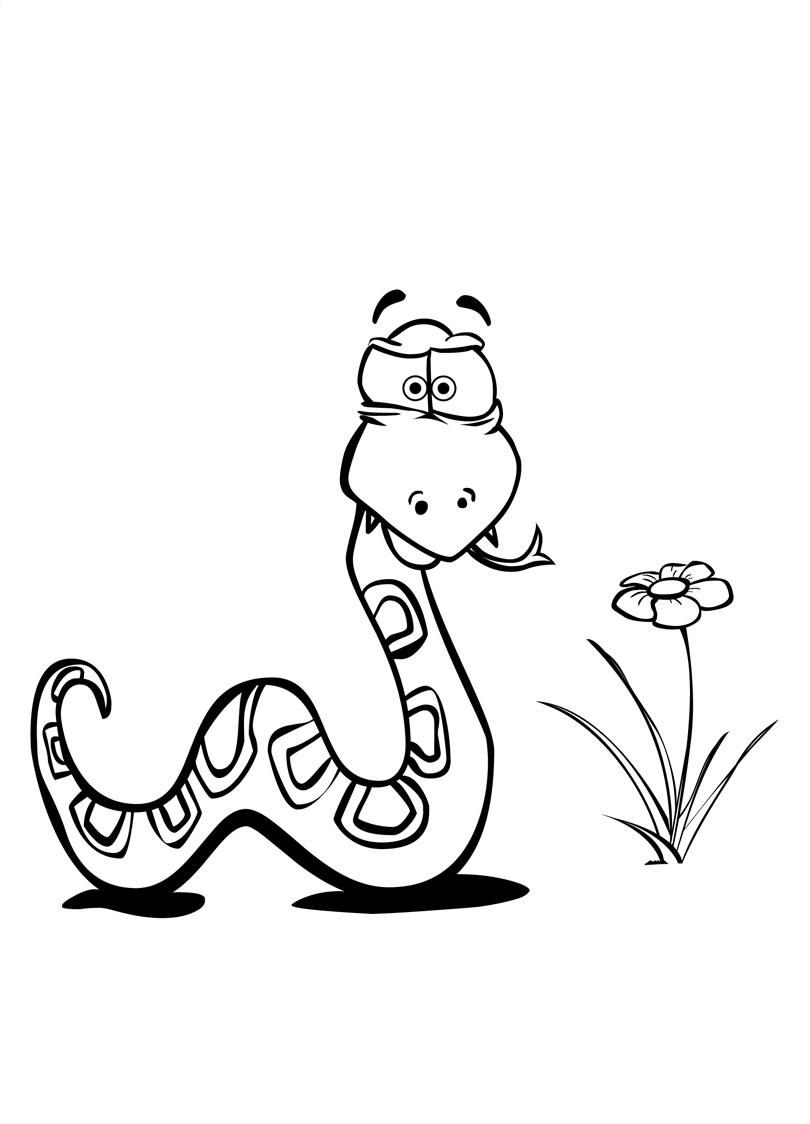 Serpiente #9251