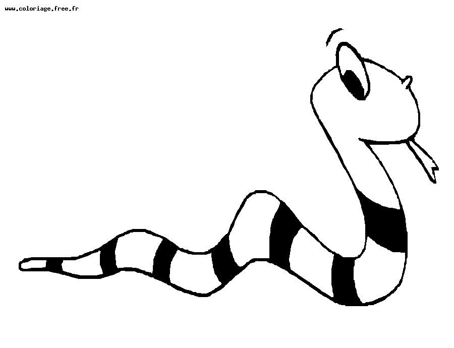 Serpiente #9253