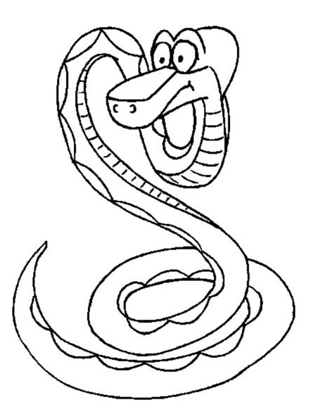 Serpiente #9264