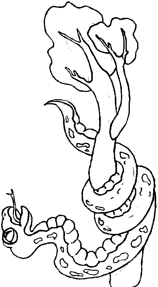 Serpiente #9272