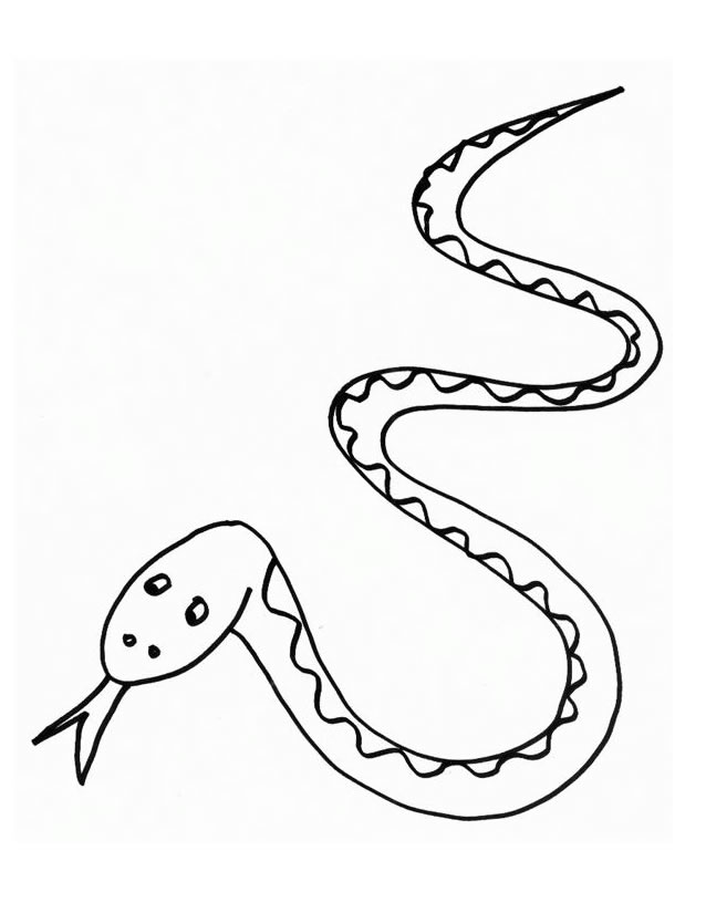 Serpiente #9275