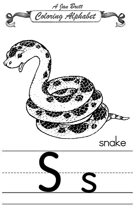 Serpiente #9282