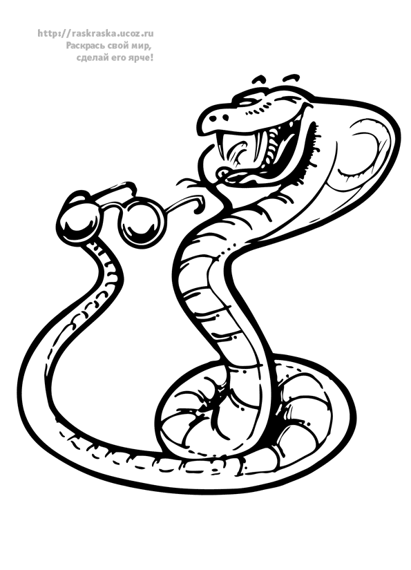 Serpiente #9283