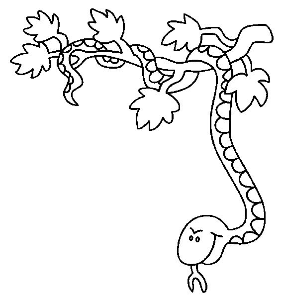 Serpiente #9293
