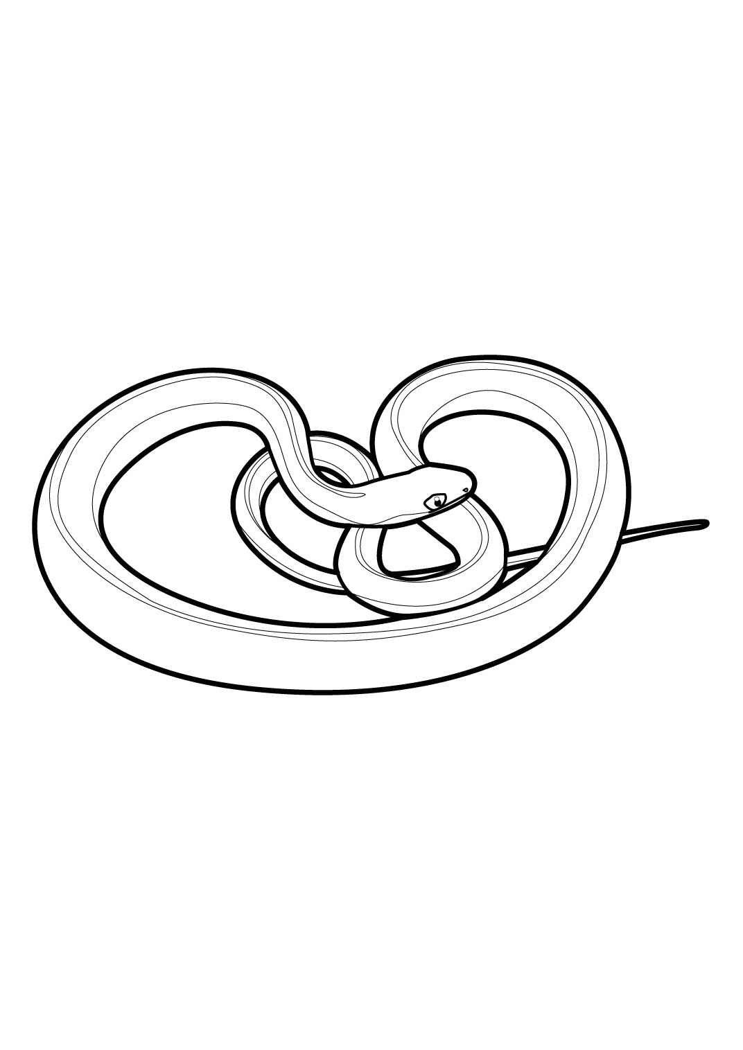 Serpiente #9296