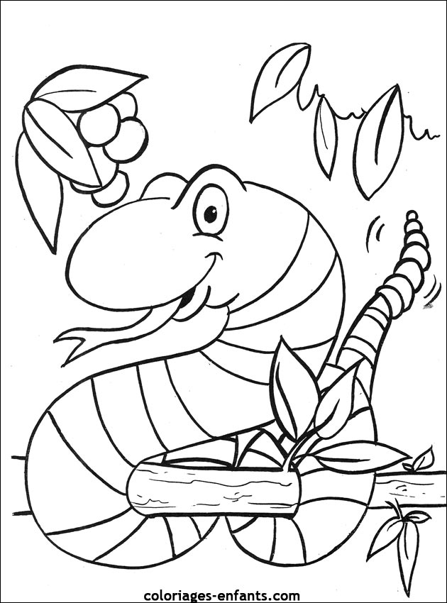 Serpiente #9297