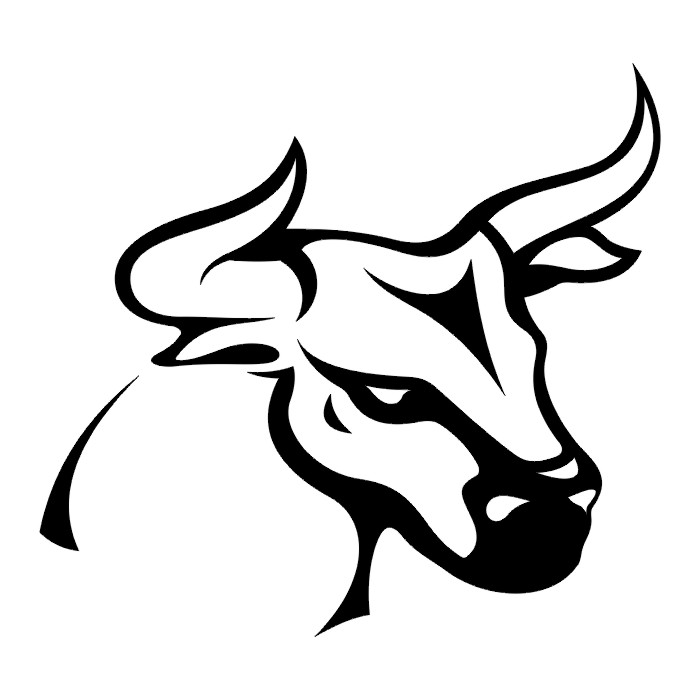 Toro #9307