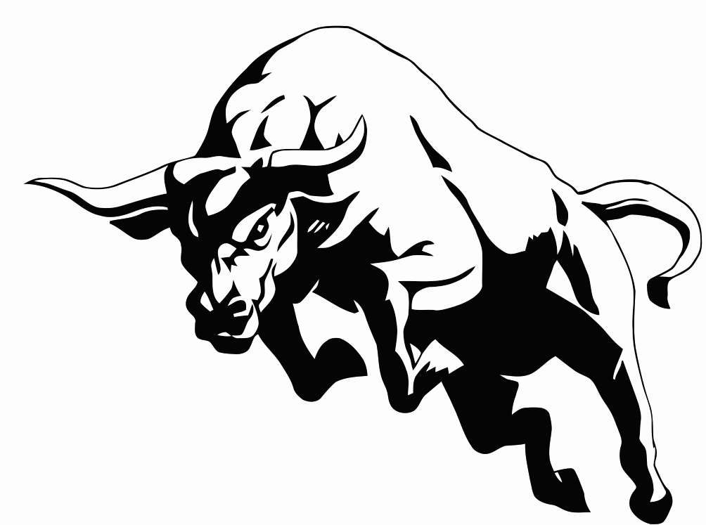 Toro #9309