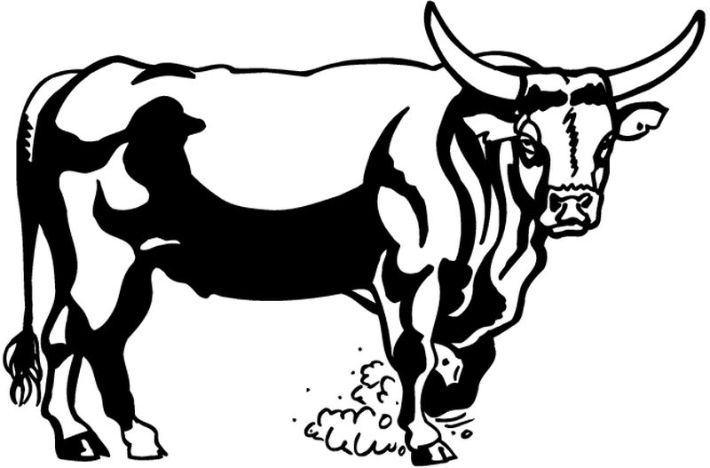 Toro #9310