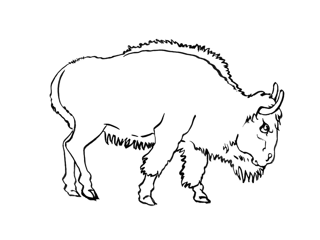 Toro #9335