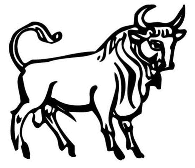 Toro #9336