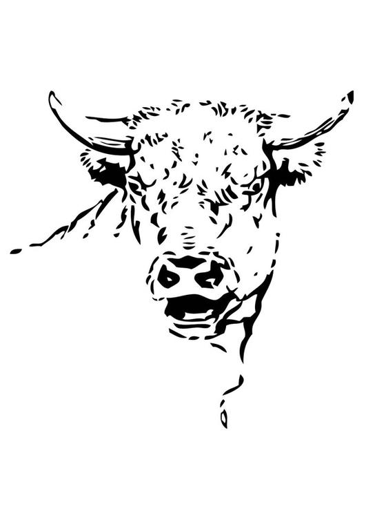 Toro #9353