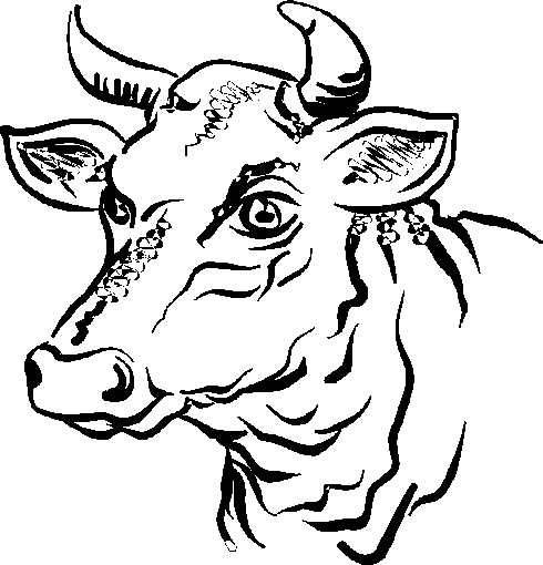 Toro #9364