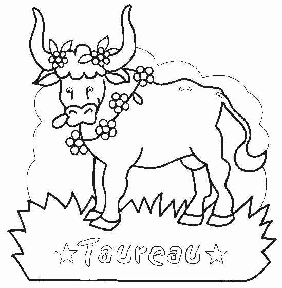 Toro #9368