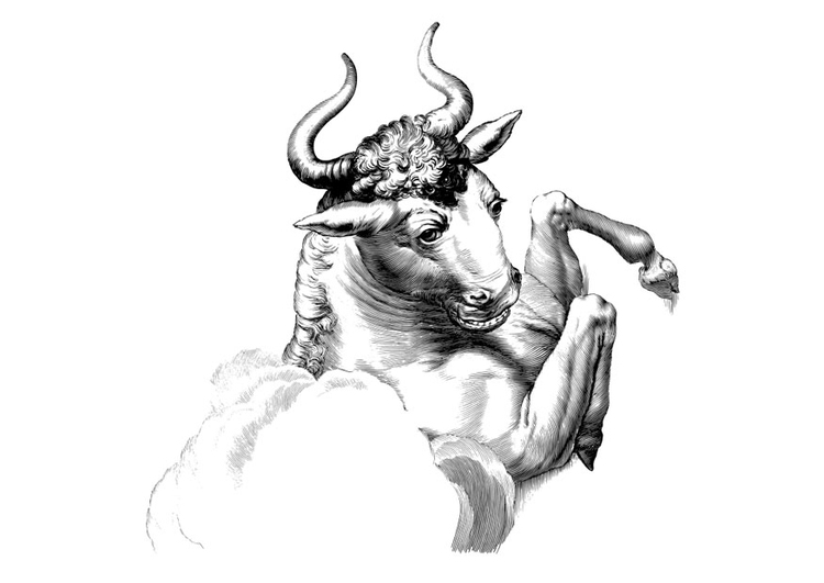 Toro #9369