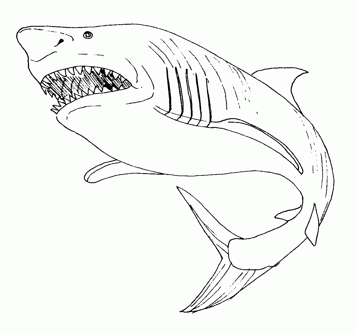 Tiburón #9373