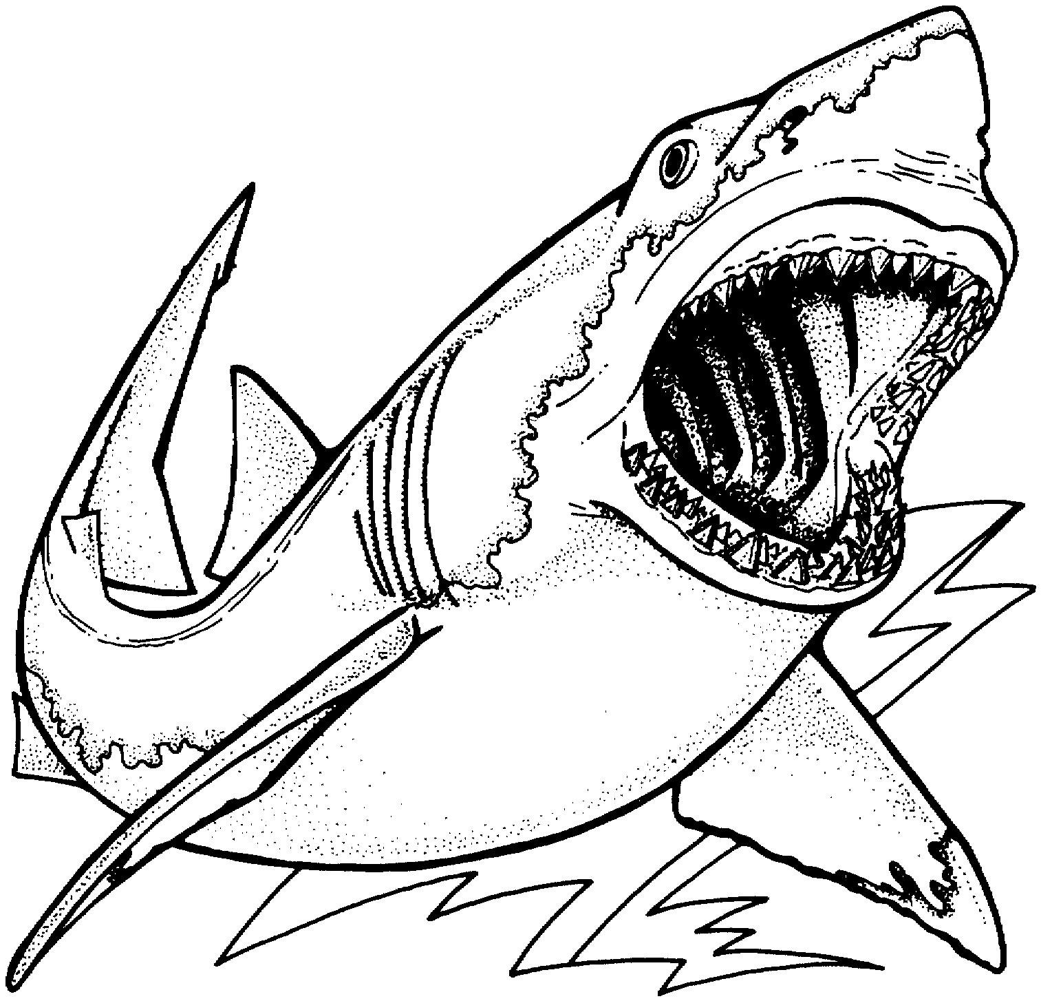 Tiburón #9374