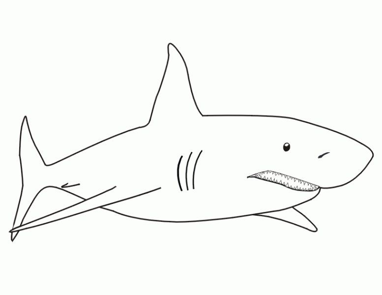 Tiburón #9375