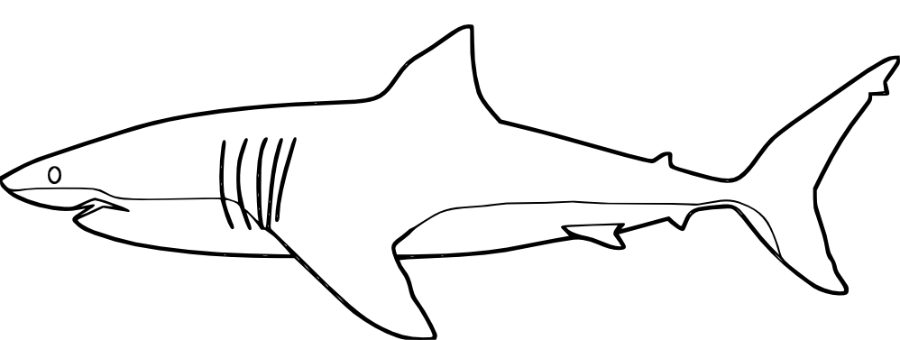 Tiburón #9377