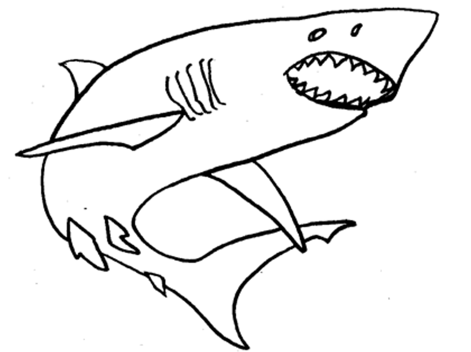 Tiburón #9379